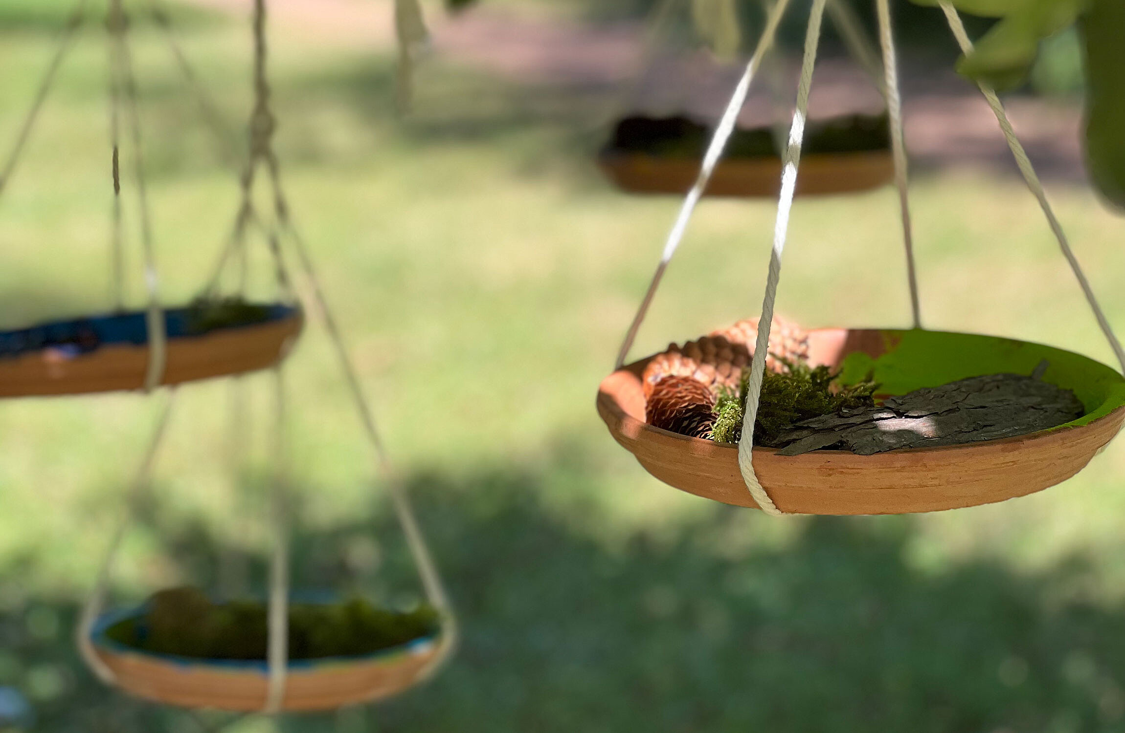 Tonschalen hängen wie ein Mobile an einem Baum