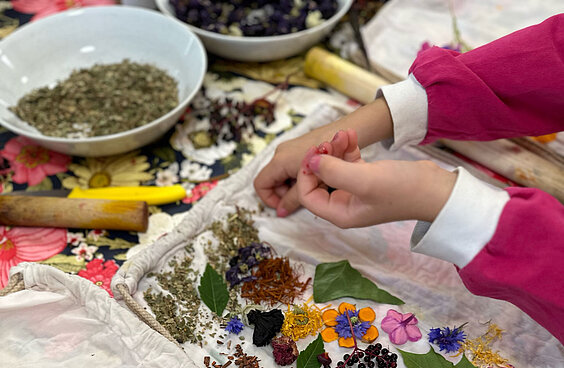 Kind legt Blüten und Blätter auf ein Tuch um es zu Färben