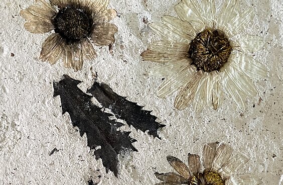 Papier aus Pilzen mit Blütenmuster