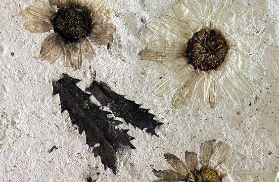 Papier aus Pilzen mit Blütenmuster